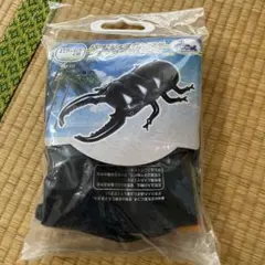 パラワンオオヒラタクワガタフロート