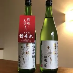 東洋美人 限定純米吟醸 2本
