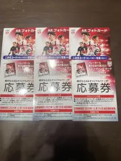 応募券3口 バレーボール男子日本代表2025