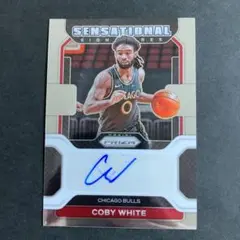 Coby White コービー・ホワイト Prizm Auto サイン 直筆