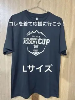 富山グラウジーズ　 tシャツ TOYAMA GROUSES Lサイズ 黒