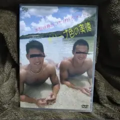マップメイト MAPMATE