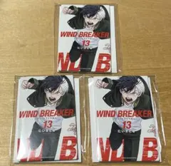 WINDBREAKER展 ランダム巻マグネット 桜遥