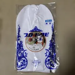 Item thumbnail for item 44d97ac5-7b09-450e-a76f-295daad58804