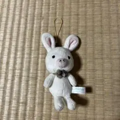 ドラマ美男ですね ブタウサギストラップ付き