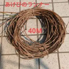 2025年最新】アケビのランナーの人気アイテム - メルカリ