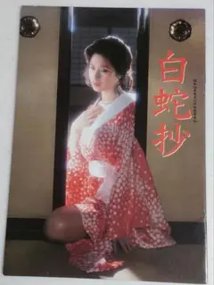 【白蛇抄】小柳ルミ子主演映画　パンフレット