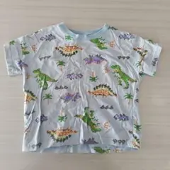 恐竜柄 Tシャツ 100cm
