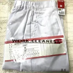 Item thumbnail for item 03a1f217-b27d-4311-8dca-e0f1a4e48c56