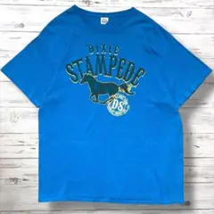 DELTA PRO WEIGHT Tシャツ デカロゴ 馬 F 0209