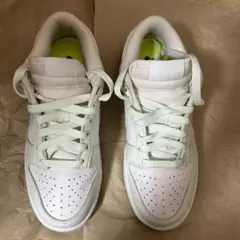 NIKE dunk low next nature ホワイトミント 23.5