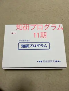 知研プログラム　11期　バラ売り　数かくし