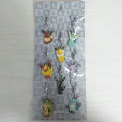 【未開封】ポケモンセンター限定　イーブイ　メタルチャームセット【廃盤】