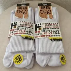 Item thumbnail for item aa59a620-ad17-44a1-8931-5688a79de00e