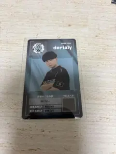 VCJ 入場者特典 プレイヤーカード derialy