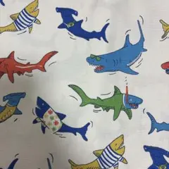 MiKOMA様オーダー　レッスンバック