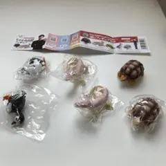 2025年最新】ちゃんねる鰐の人気アイテム - メルカリ