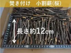 Item thumbnail for item 49336b95-aa35-4c74-b238-3df0e74c1d3f