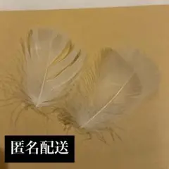 【匿名配送】なにわ男子 ボンボンボヤージュdevil or Angel 落下物