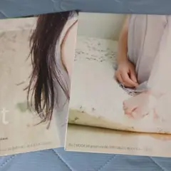 渡邉美穂 ポスター 雑誌付録