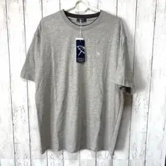 新品ARNOLD PALMER アーノルドパーマ グレー Tシャツ Lサイズ