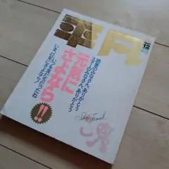 【レア古本】平凡　保存版　最終号 1987年12月号