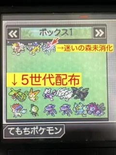 ポケットモンスター ブラック　5世代配布多数
