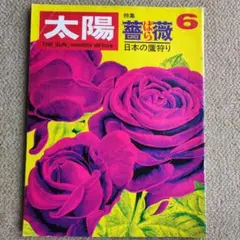 【平凡社】太陽1969年6月号