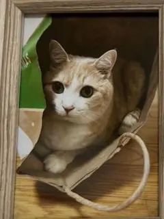 確認用