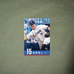 Item thumbnail for item b7c0ad23-74dd-4647-8f08-e1a709b8c8d8