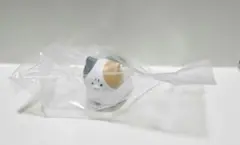 怒った猫ちゃあぁぁん　三毛猫　未開封