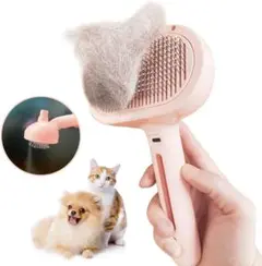Item thumbnail for item e51d494e-333c-4194-9601-f564ca60caa6