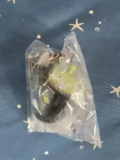 Item thumbnail for item 4a09e2b5-05c0-4500-b689-f38092488748