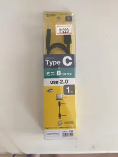 USB 2.0 Type C to Mini Bケーブル 1m