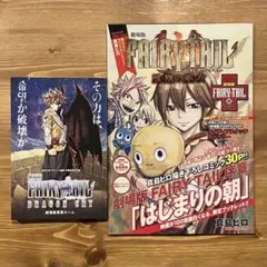 【非売品】劇場版FAIRYTALE 入場者特典冊子セット