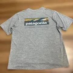 patagonia パタゴニア　p6 波ロゴ　キャプリーン　グレー　Ｍサイズ
