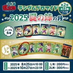 忍たま乱太郎 ランダムブロマイド 立花仙蔵(ノーマル、レアセット)