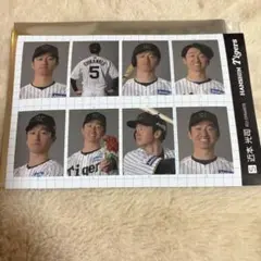 阪神タイガース　証明写真　2025年　近本選手