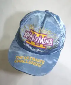 Item thumbnail for item ce474798-6f8f-469b-8e0c-68f40eee3442