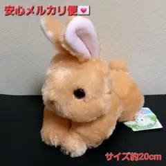 ネザーランドドワーフ タイトー限定 うさぎ ウサギ ぬいぐるみ ③