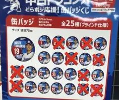 中日ドラゴンズ どらポジ応援！缶バッジくじ 缶バッジ