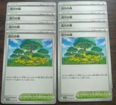 【最安】活力の森8枚セット