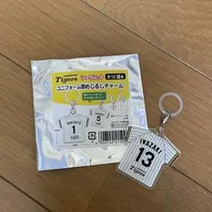 阪神タイガース シークレット ユニフォーム型めじるしチャーム 岩崎優投手
