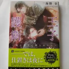 王子と護衛 　～俺は貴方に縛られたい～　海野幸