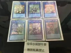 【いいね不要】霊使い リンク シークレット ６枚セット