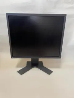 EIZO FlexScan MX190 19インチ モニター 本体