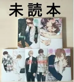 「美しい彼 １〜４ ＋番外編集／凪良ゆう・葛西リカコ」（シリーズ 全巻）※未読本