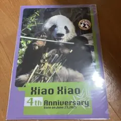 上野動物園 シャオシャオ　レイレイ　4周年　クリアファイルセット