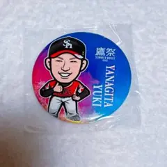 若鷹ガチャ 柳田悠岐 缶バッジ 鷹祭