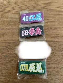 楽天イーグルス 缶バッジ3つセット 辛島 辰見 江原